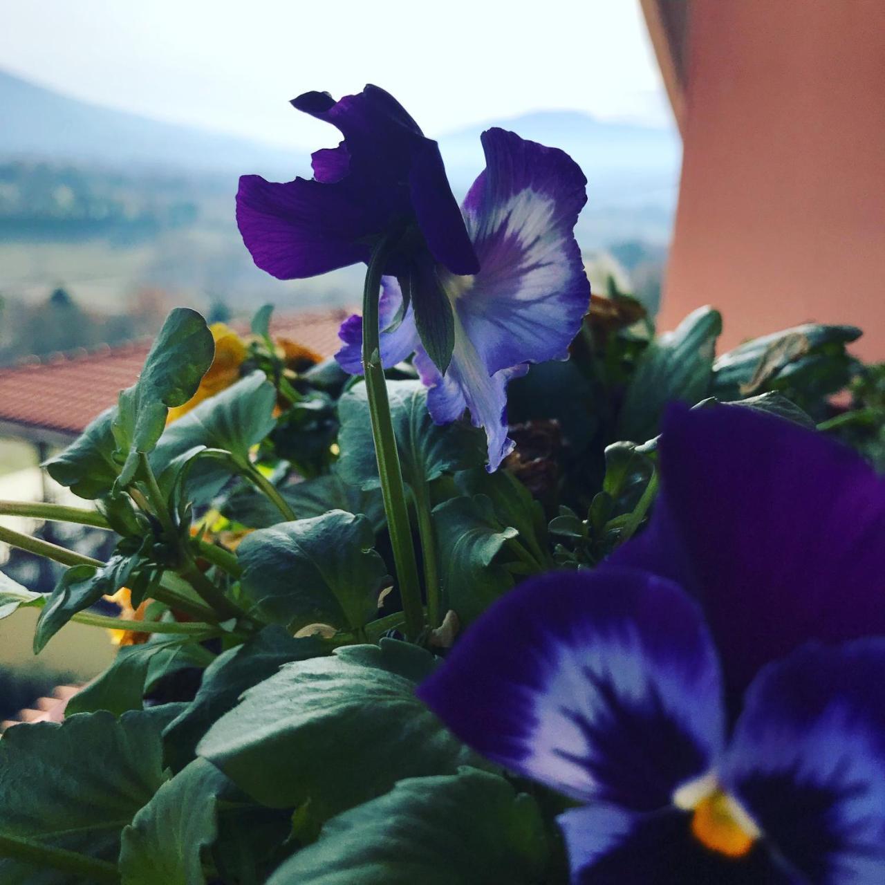 Il Pozzo Country House Collescipoli Exterior foto